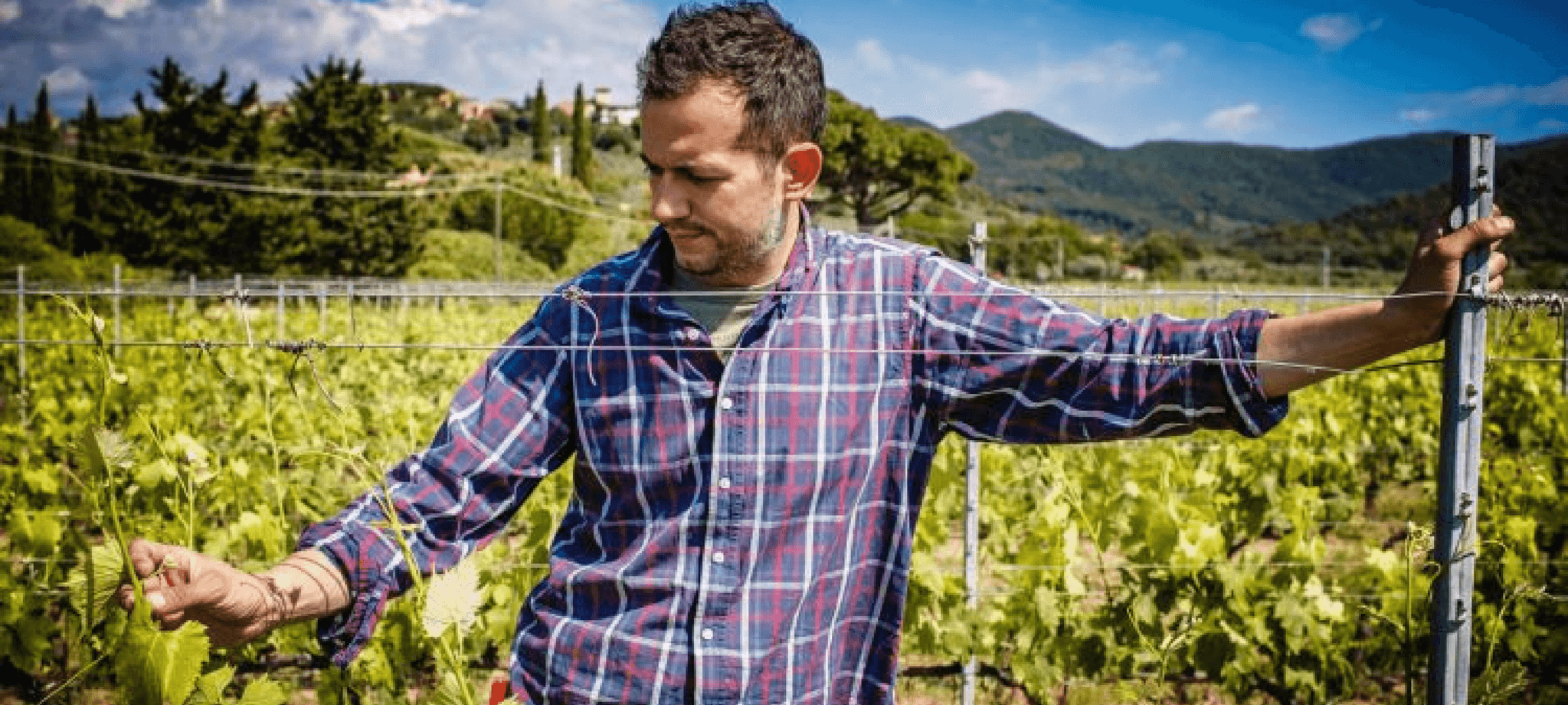 Fabio Motta