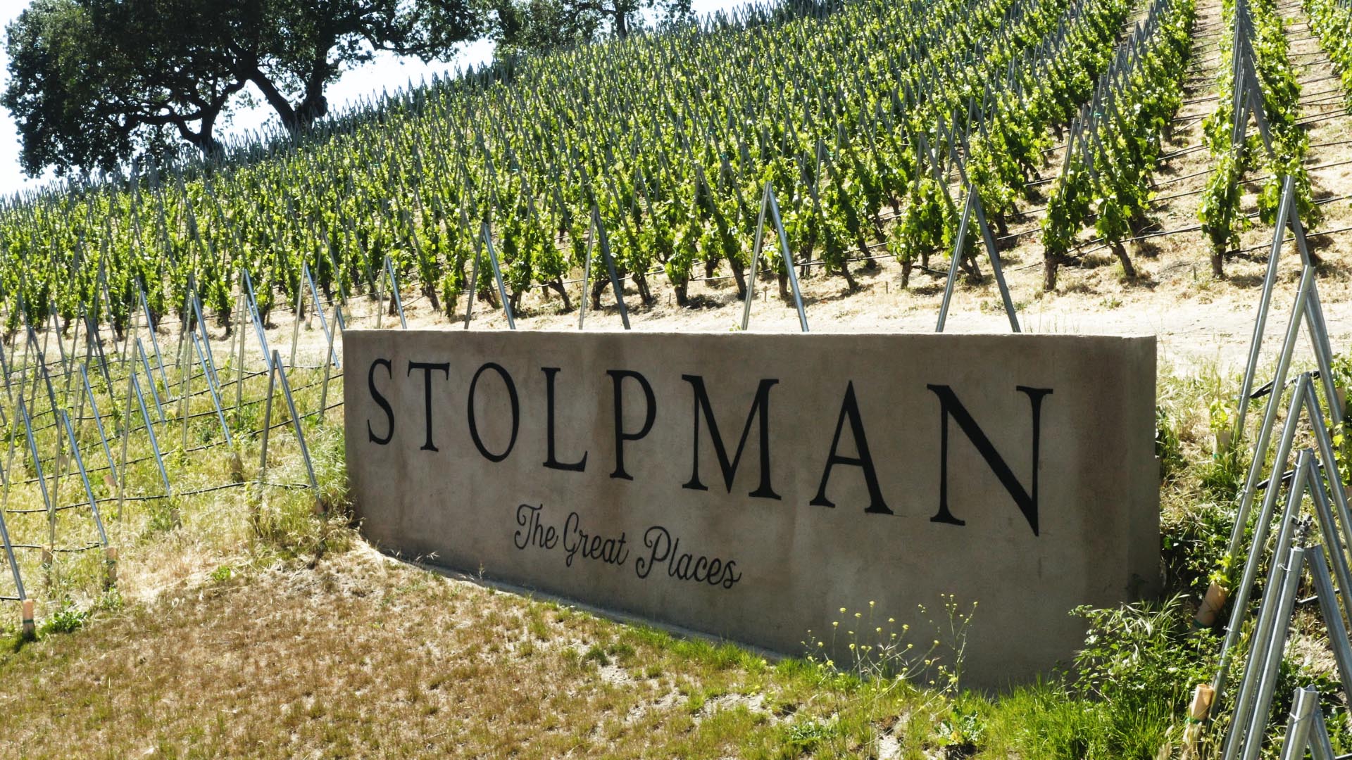 STOLPMAN