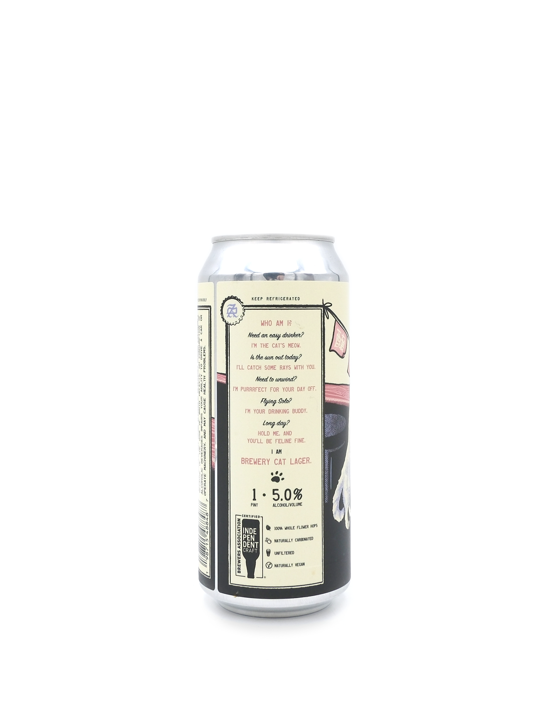 BennyBoy Brewing Brewery Cat Lager 16oz